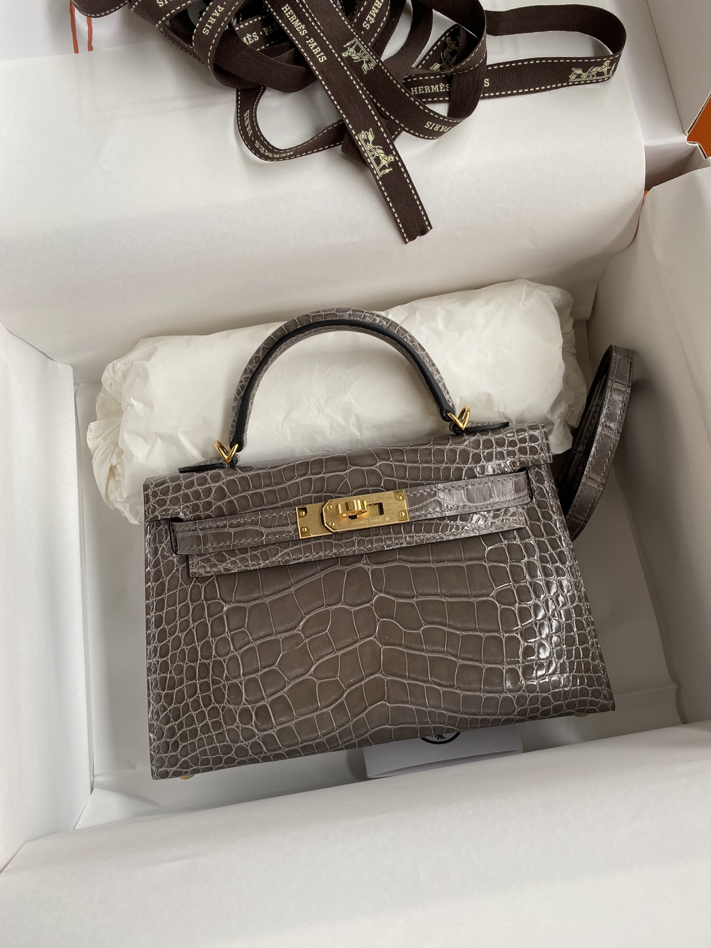 Hermes Kelly Mini II Bag 19CM In Etoupe Shiny Alligator Leather